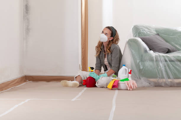 Reliable Mold Inspection And Testing contractor in Lake Dallas, TX by Mold Remediation HQ